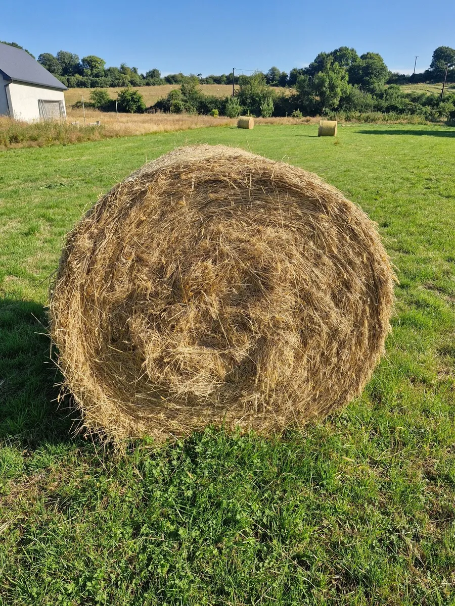 Hay Bales - Image 3