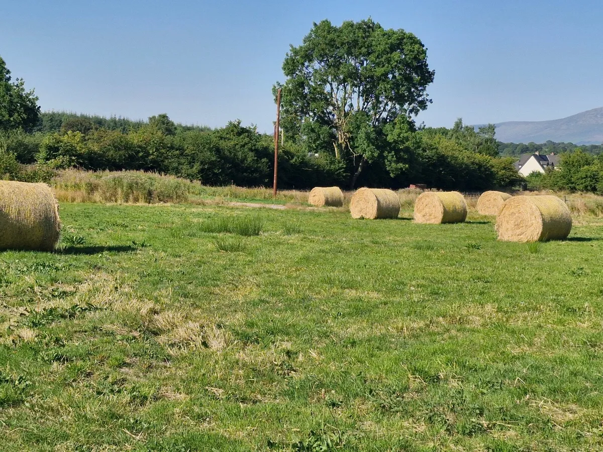 Hay Bales - Image 4