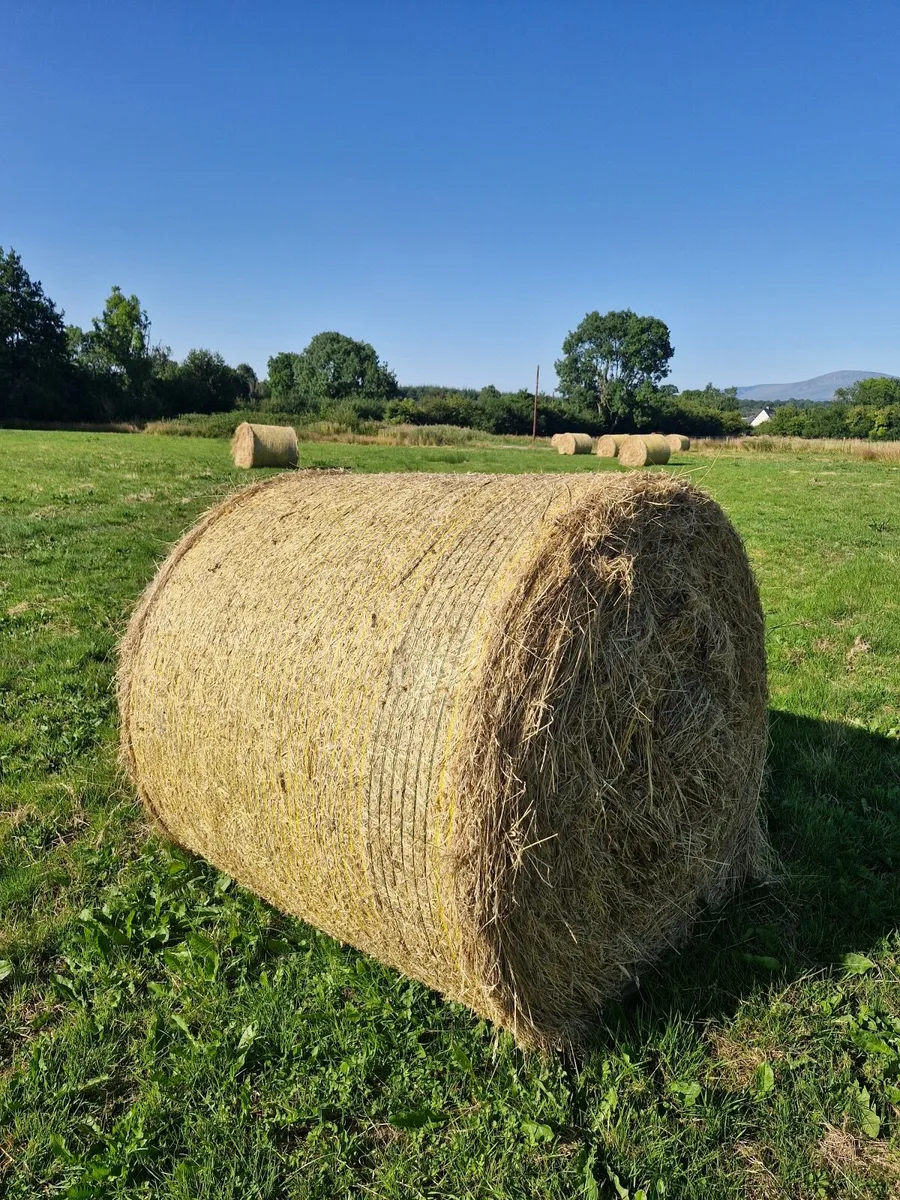 Hay Bales - Image 1
