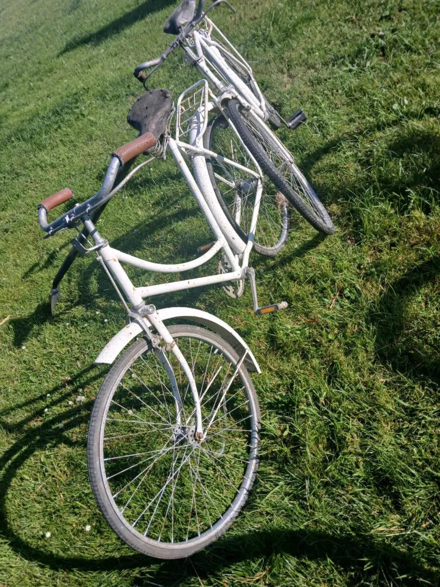 High Nelly Bicycles (decorative) - Image 2