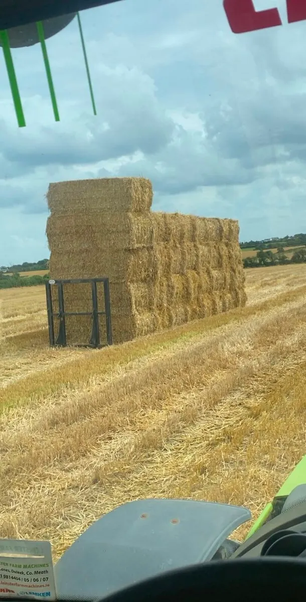 Barley straw - Image 2