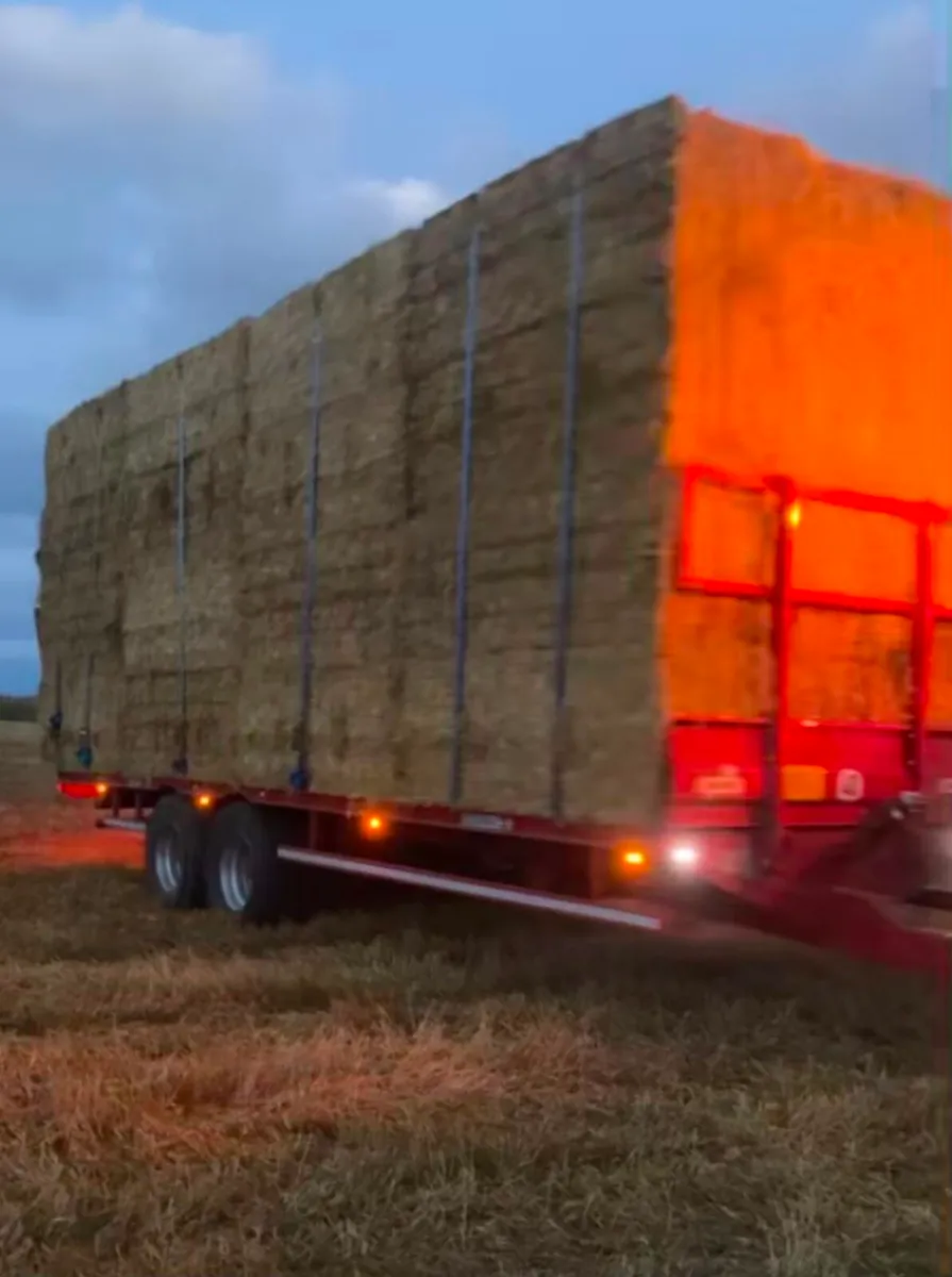 Barley straw - Image 1