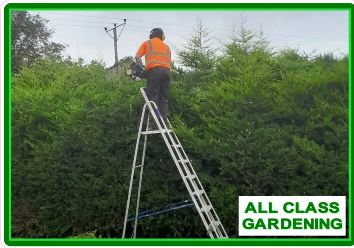 Garden service. - Image 3