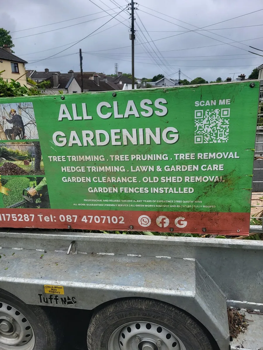 All class steam cleaning garden service - Image 2