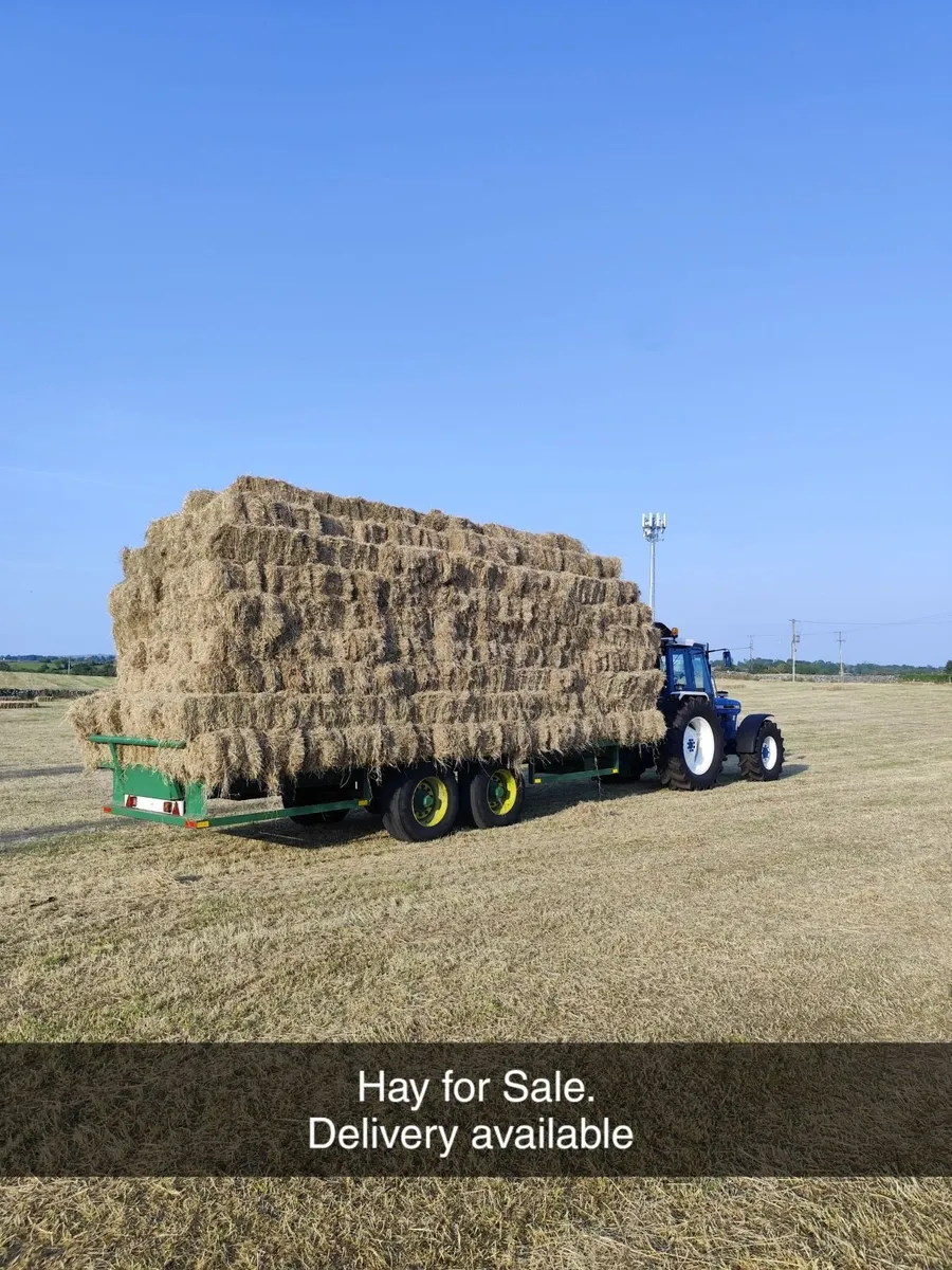 Hay - Image 1