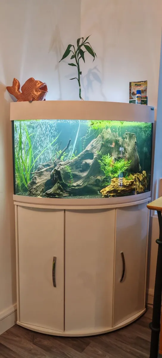 Fish tank - Image 2