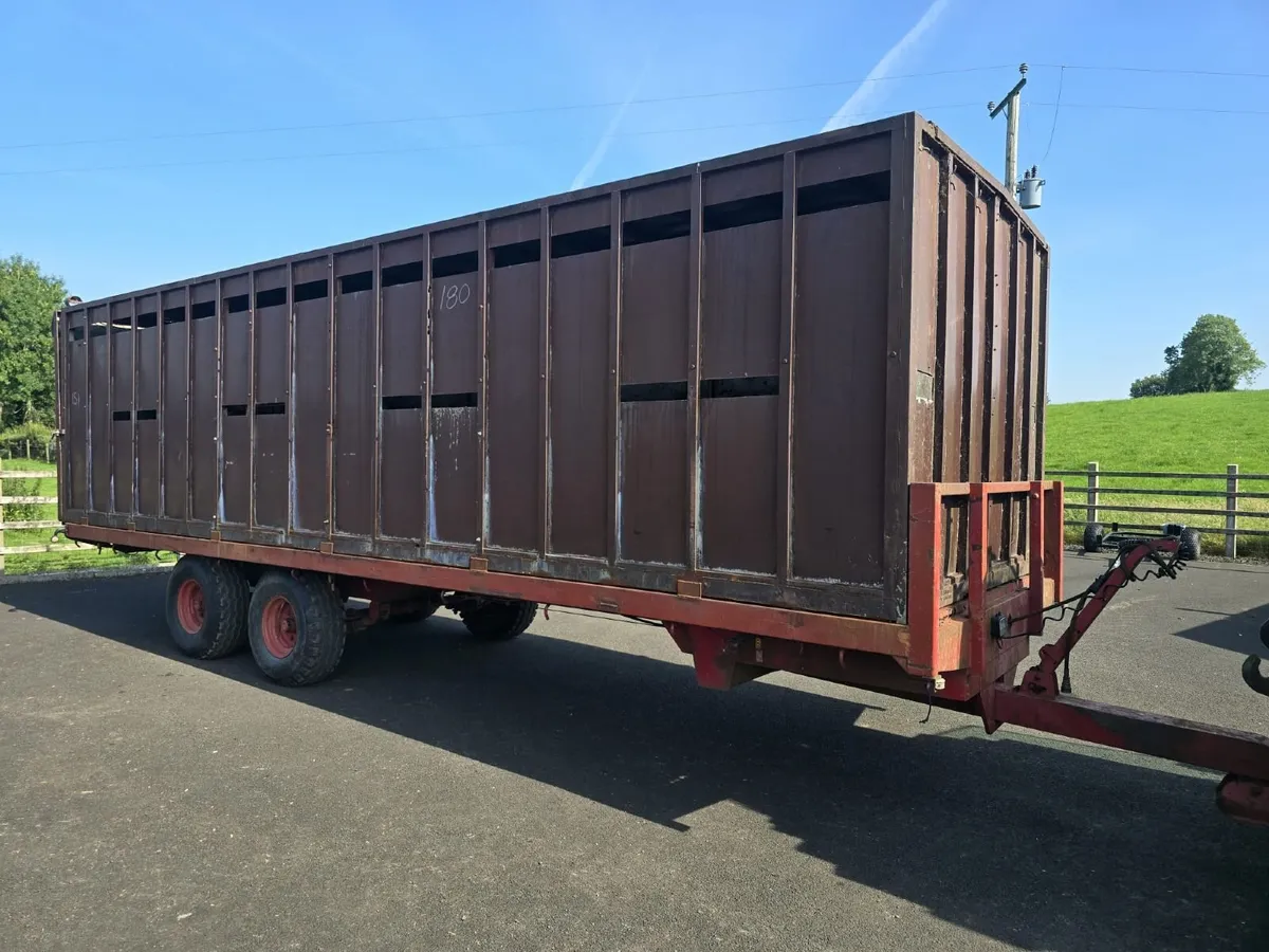 24ft sheep trailer - Image 2