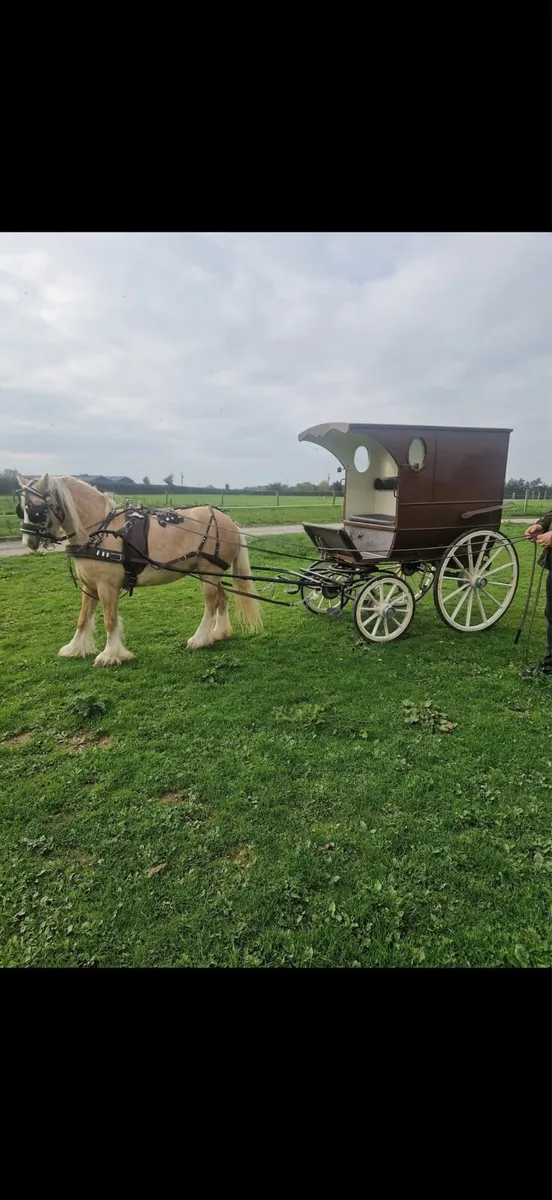 Show Bread cart - Image 3