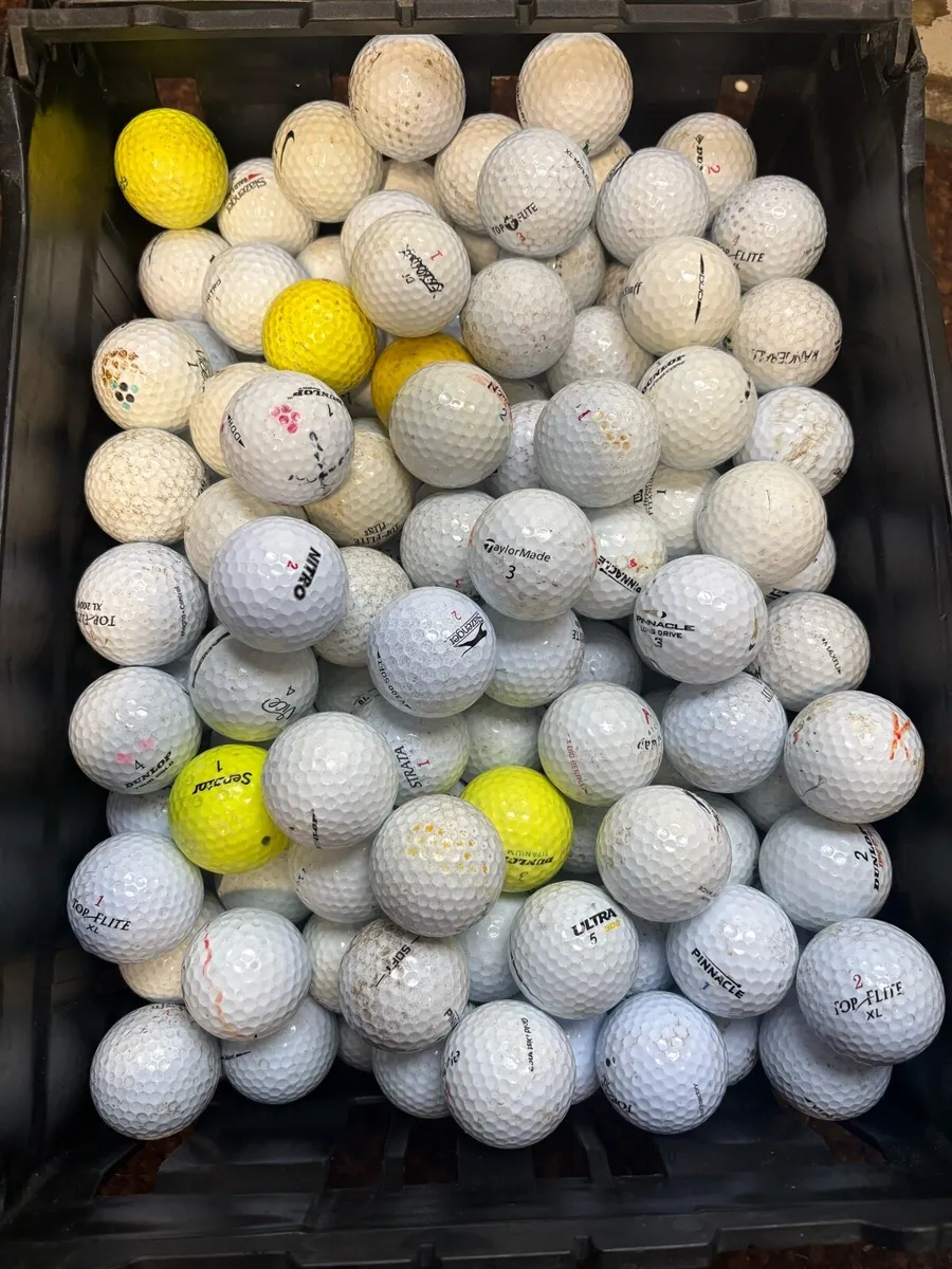 100 Golf Balls - Image 1
