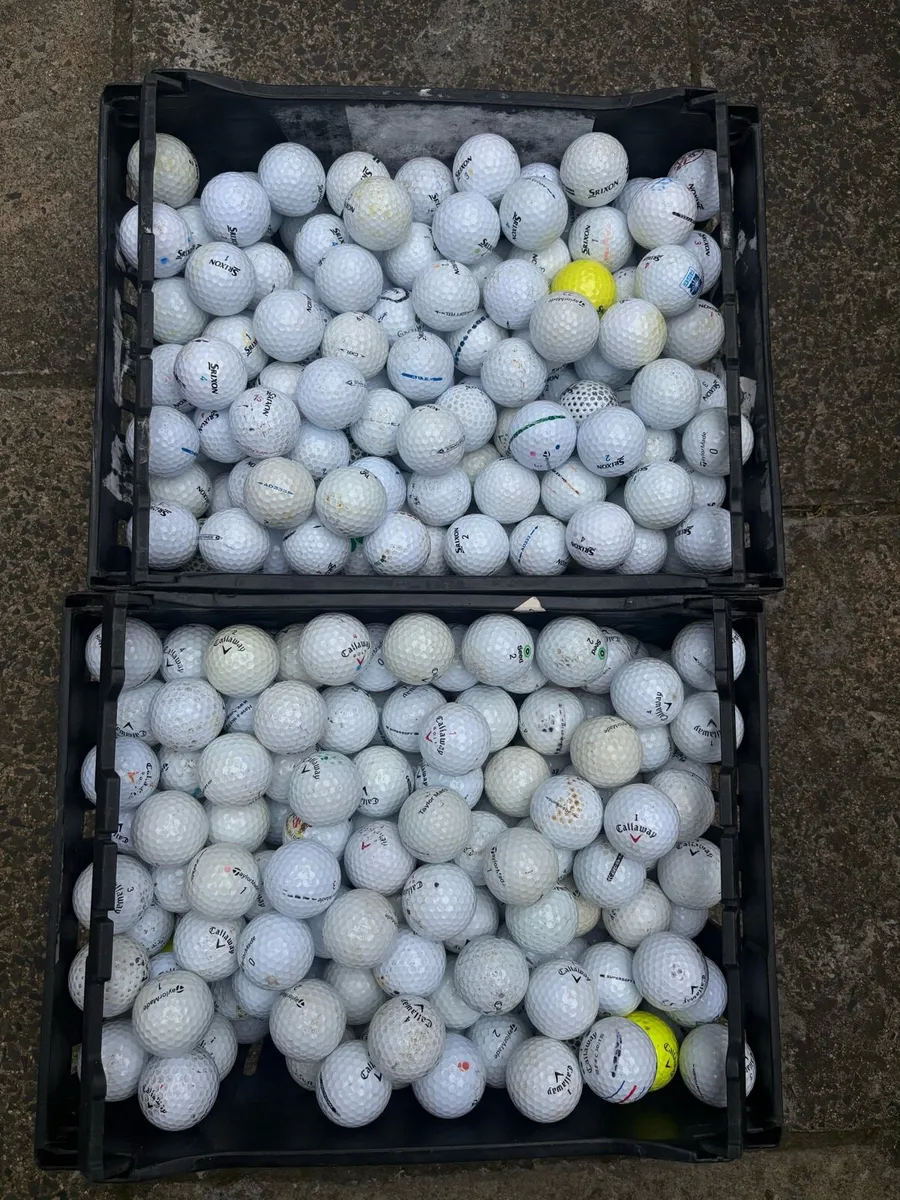 100 Top Brand Golf Balls - Image 1
