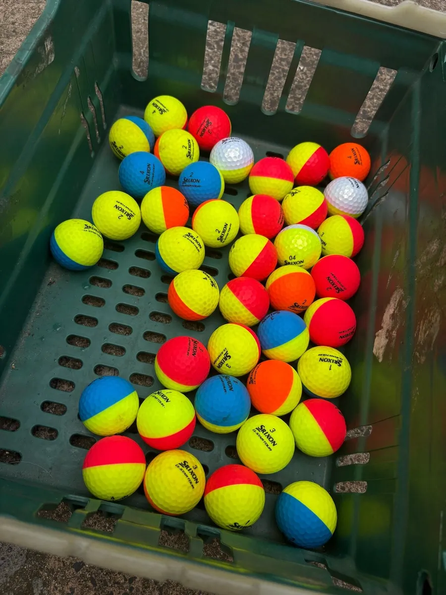 20 Srixon (Divide) Golf Balls - Image 1