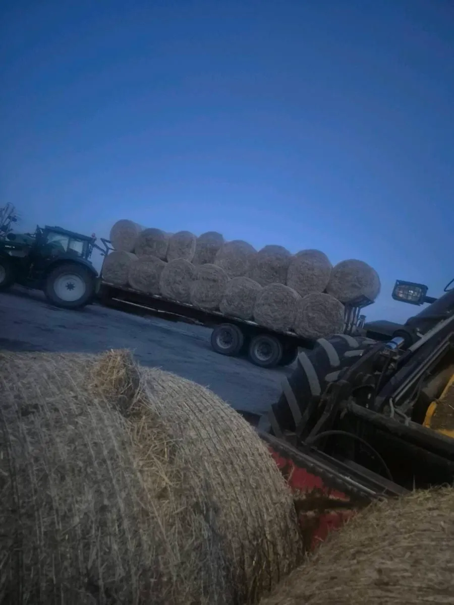 Organic hay fusion bales - Image 1