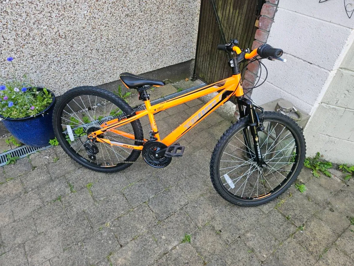 Kids 24 inch bicycle - Image 1
