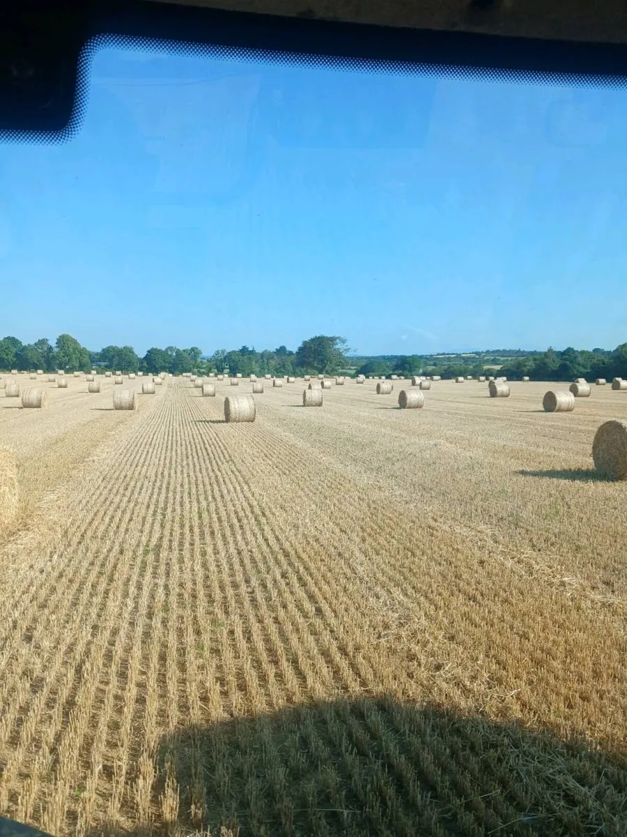 Winter Barley 4x4 8x4x3