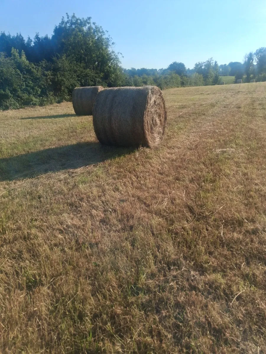 Round bales - Image 2