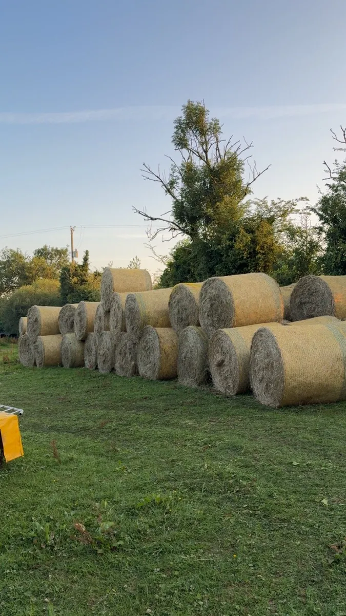 Hay for sale - Image 1