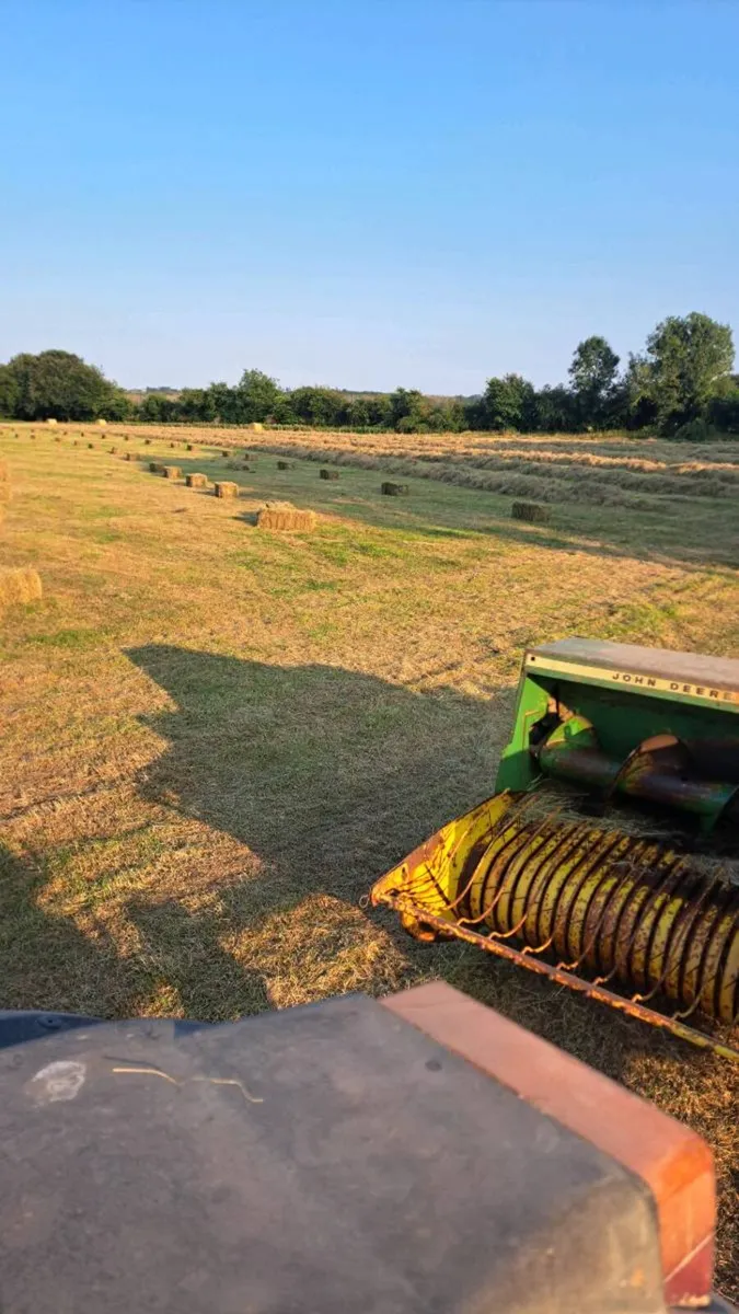 Square bales hay/haylage - Image 4