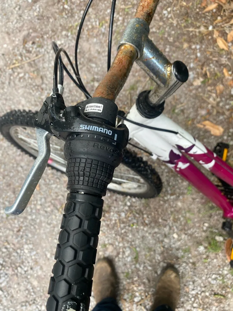 Bike - Image 2