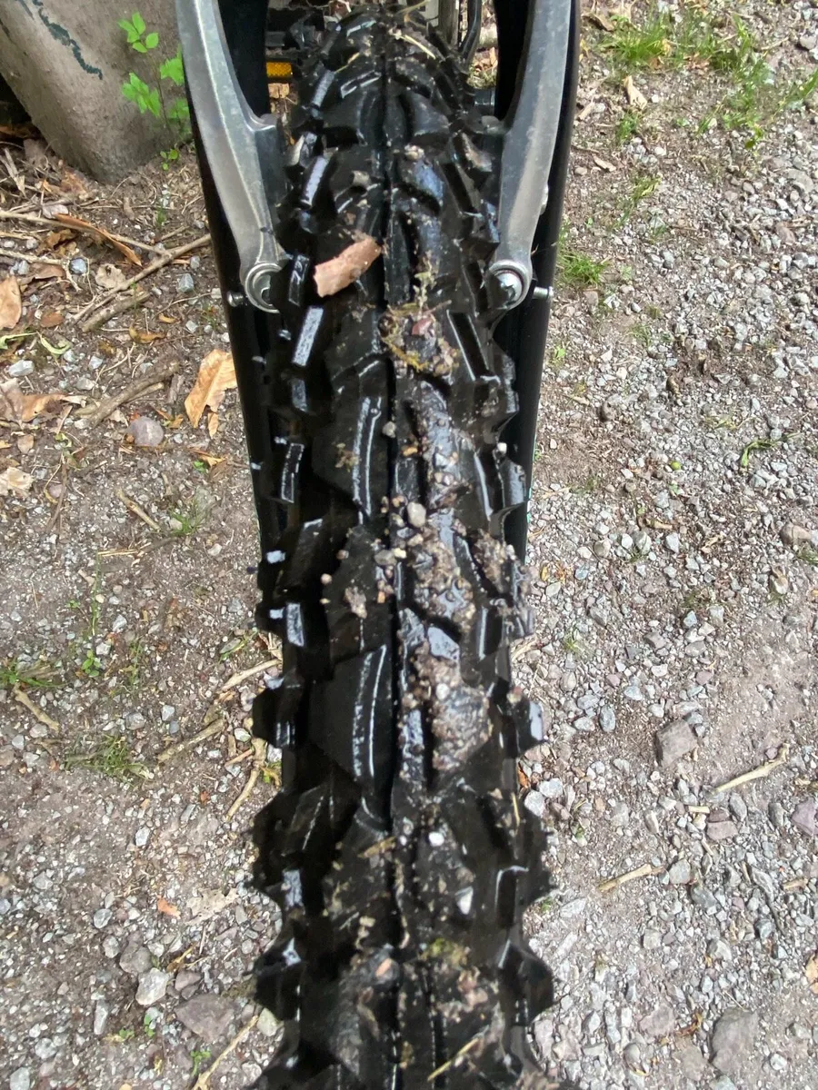 Bike - Image 3