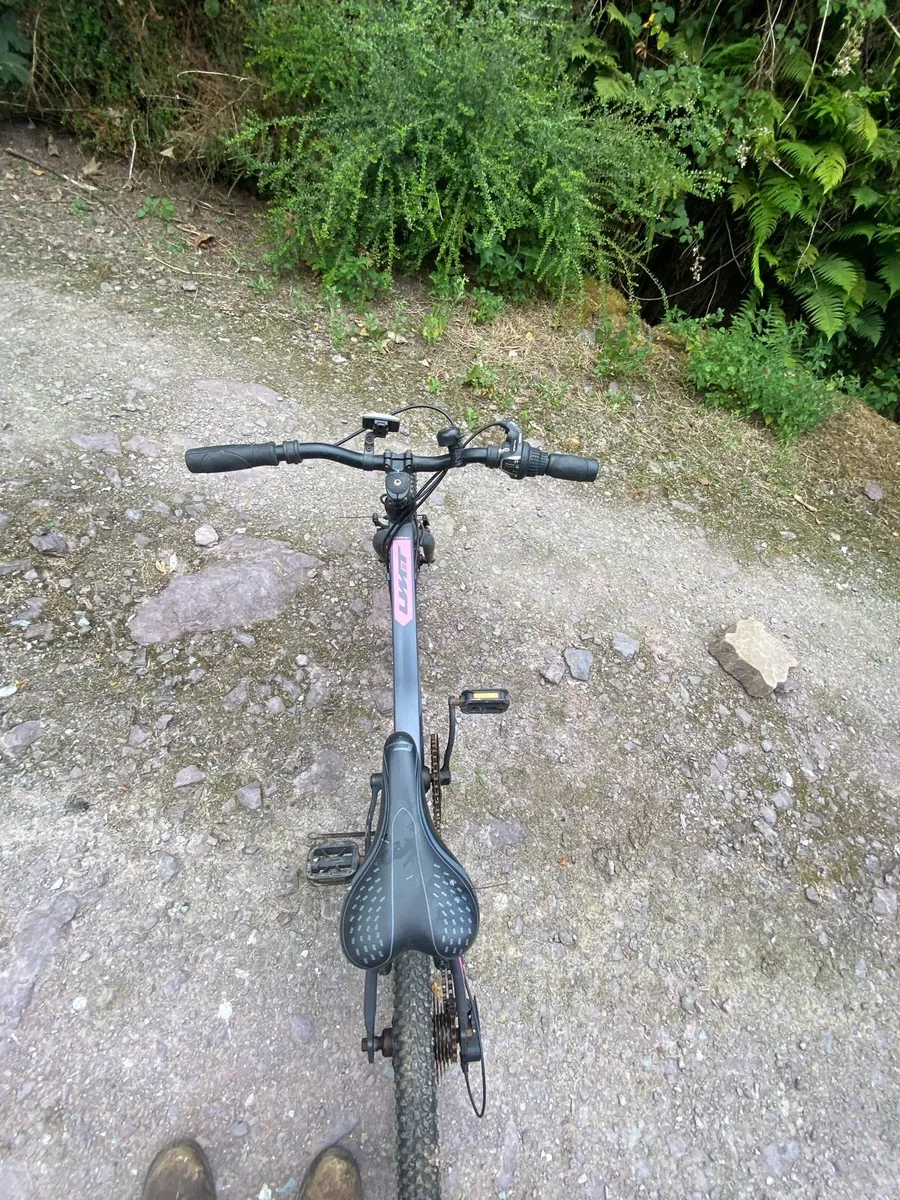Bike - Image 4