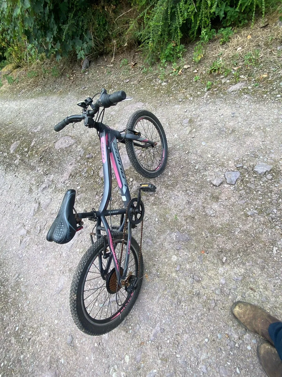 Bike - Image 1