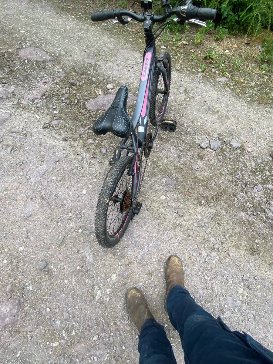 Bike - Image 2