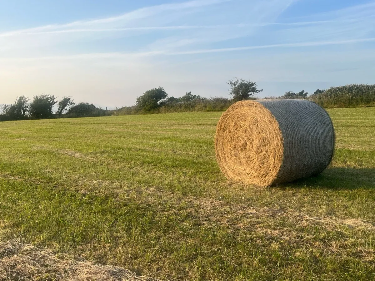 Round Hay Bales - Image 1