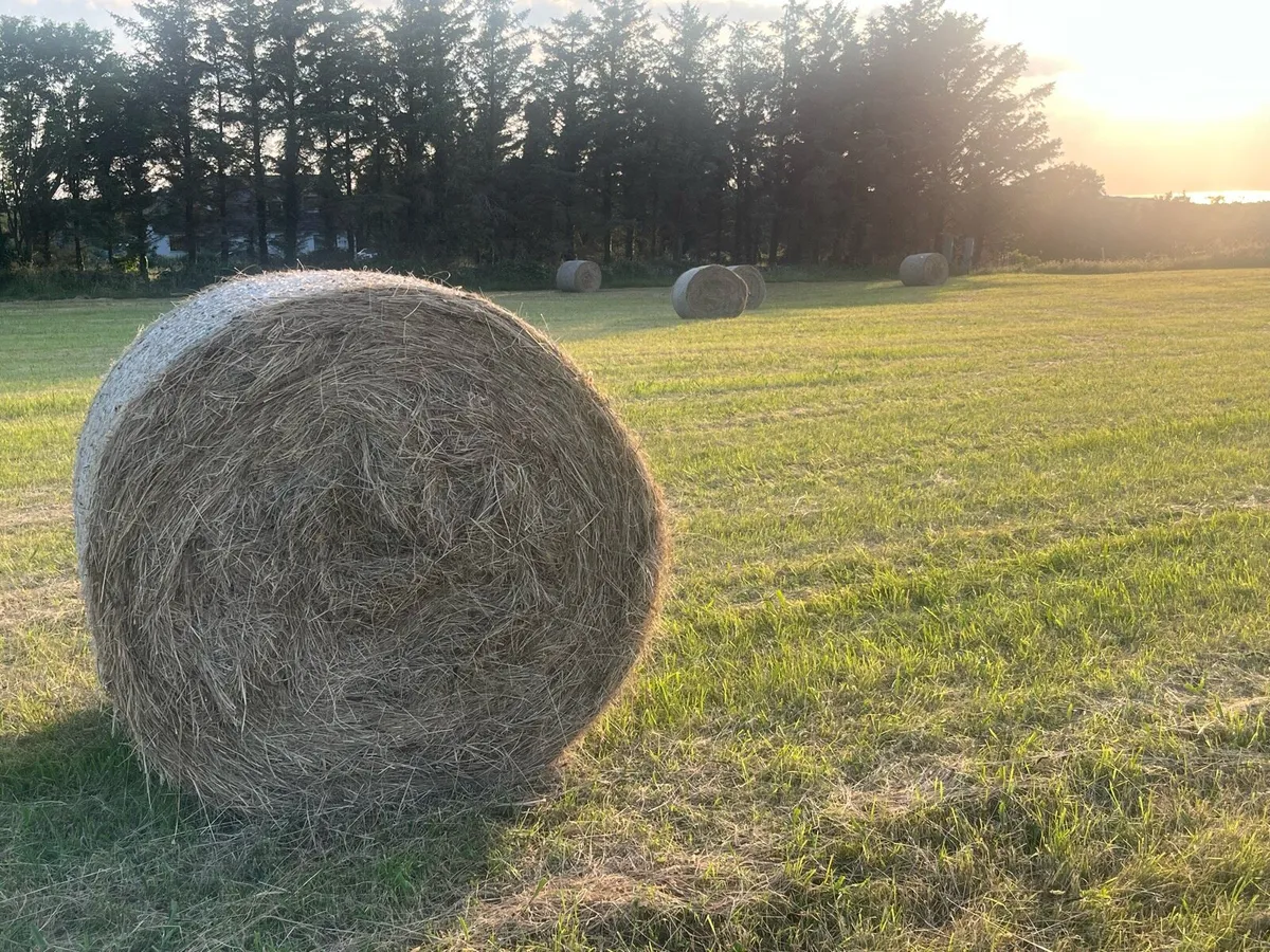 Round Hay Bales - Image 2