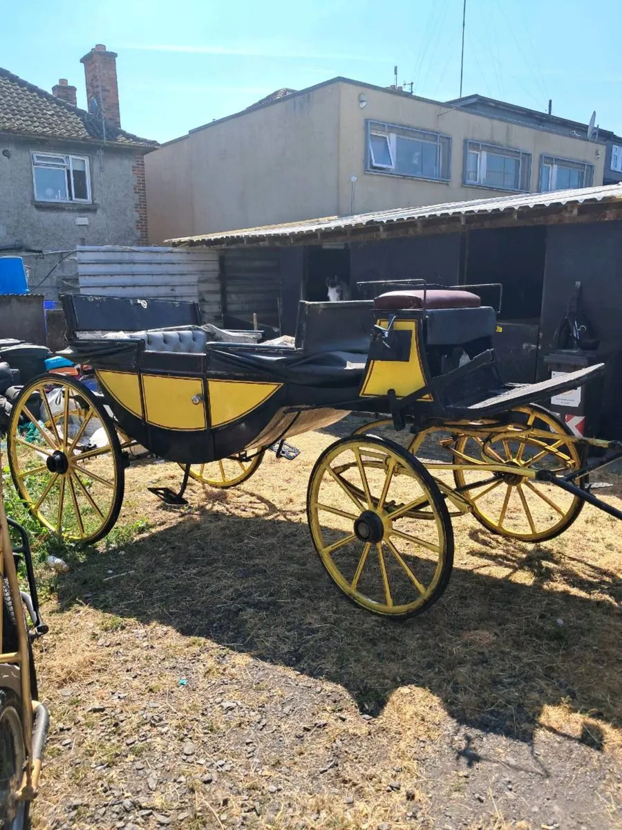Carriage - Image 4