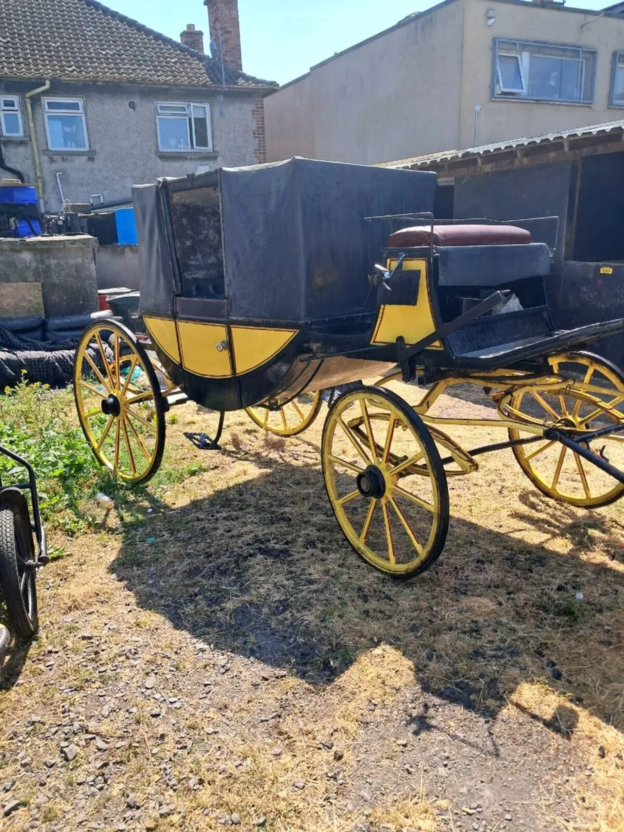 Carriage - Image 1