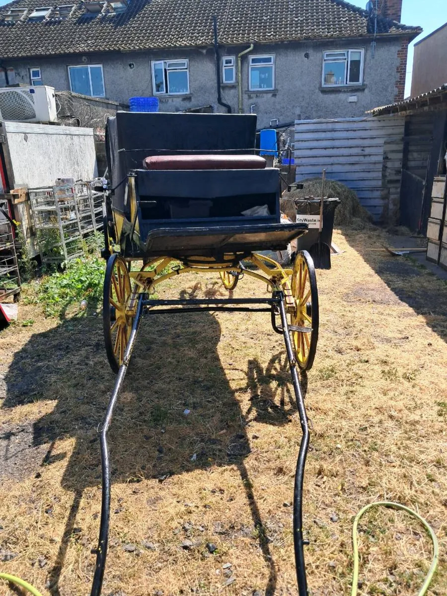 Carriage - Image 2