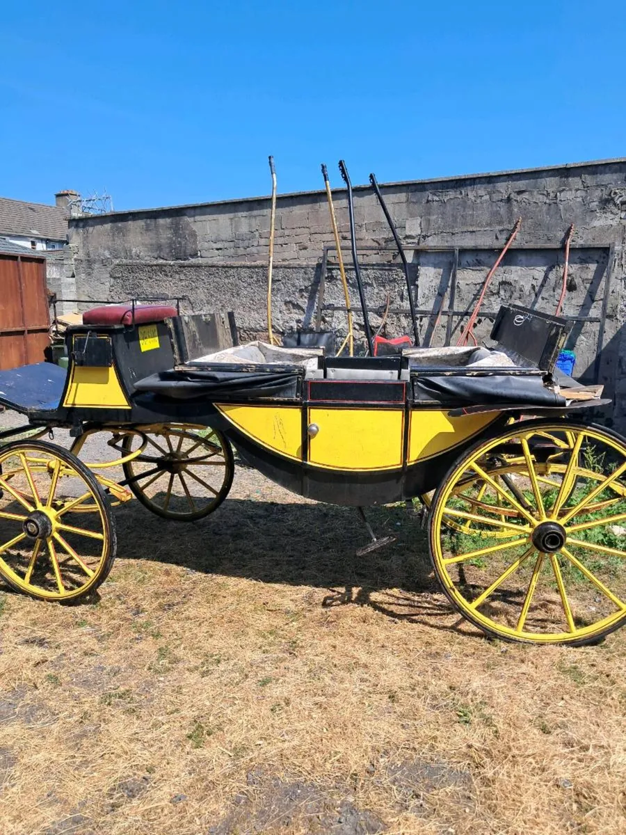 Carriage - Image 3