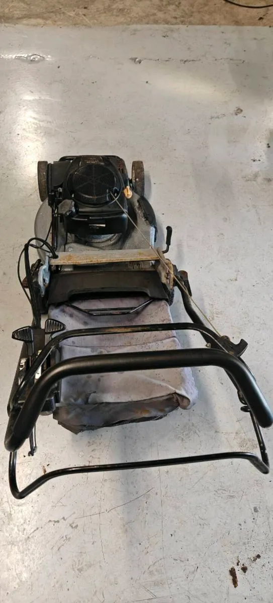 Weibang Commercial lawnmower - Image 3
