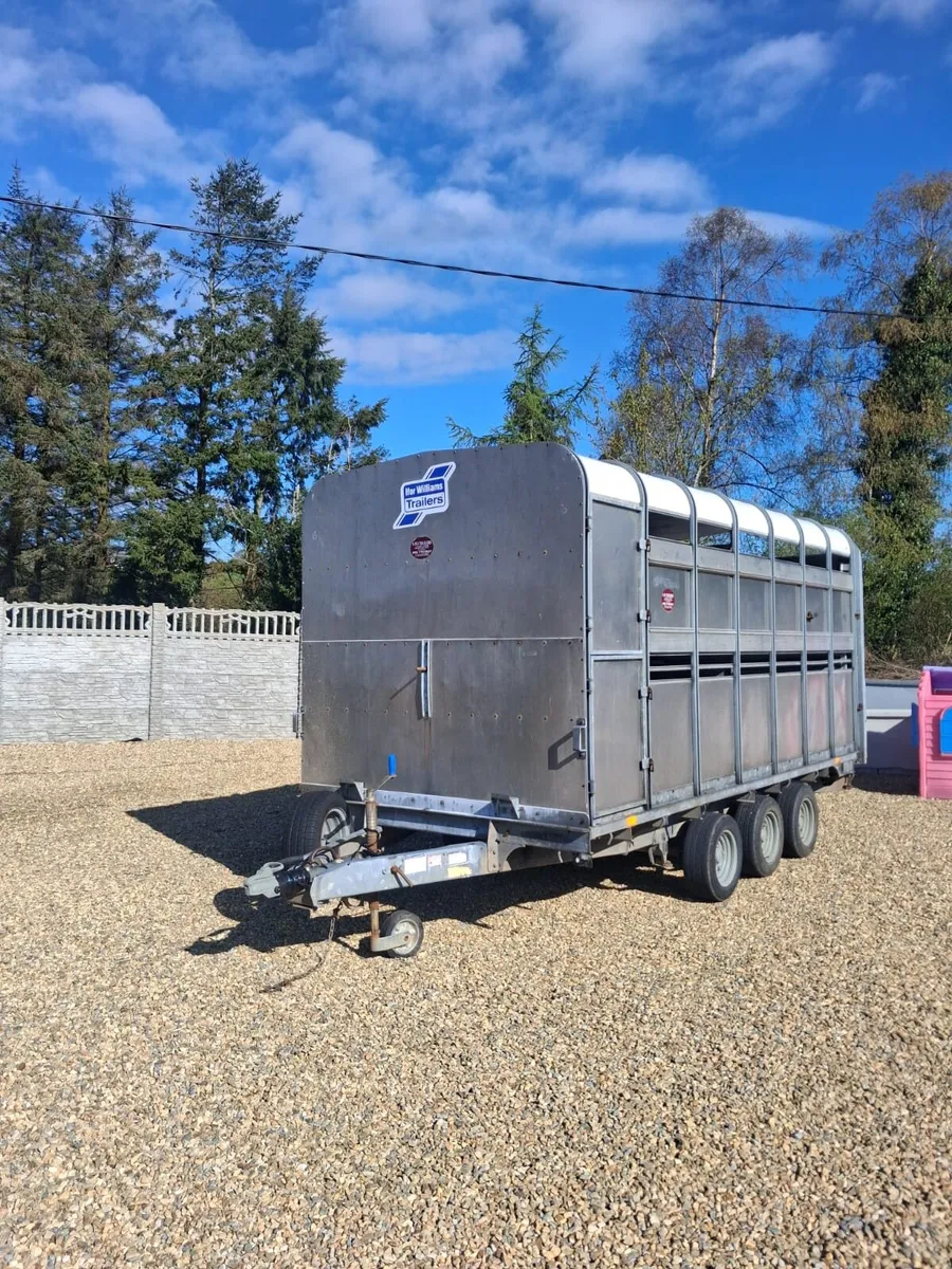 Ivforwillams 14 by 6 cattle trailer - Image 2