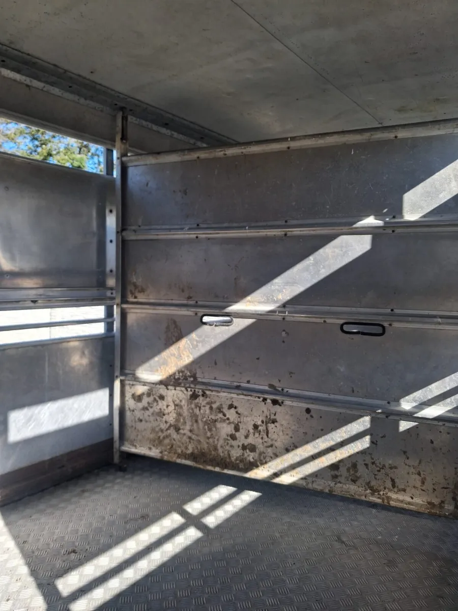 Ivforwillams 14 by 6 cattle trailer - Image 3