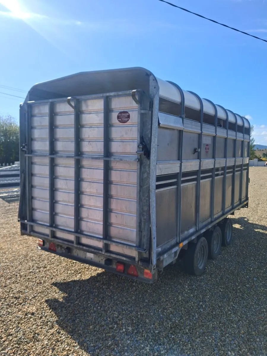 Ivforwillams 14 by 6 cattle trailer - Image 1
