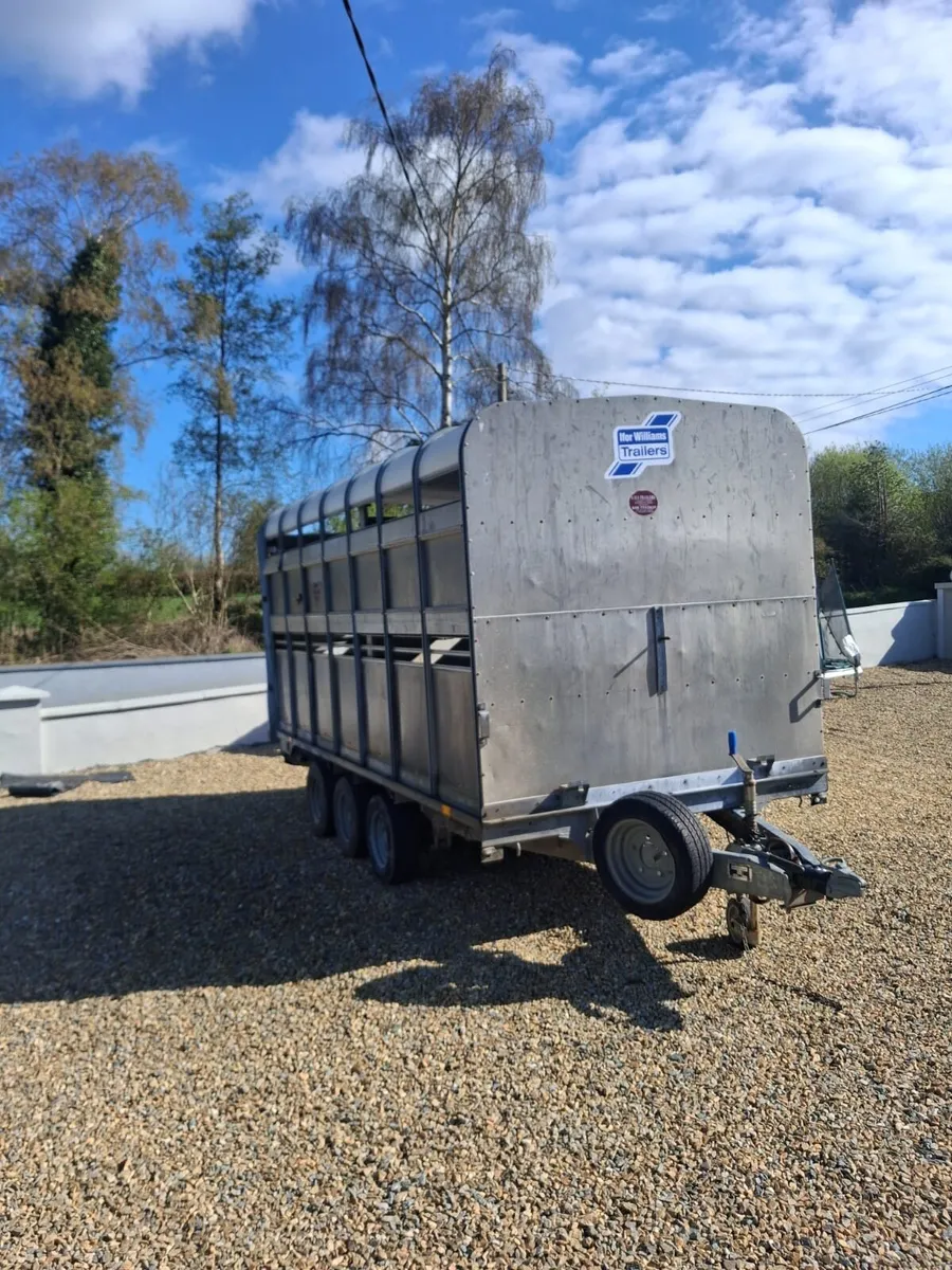 Ivforwillams 14 by 6 cattle trailer - Image 4