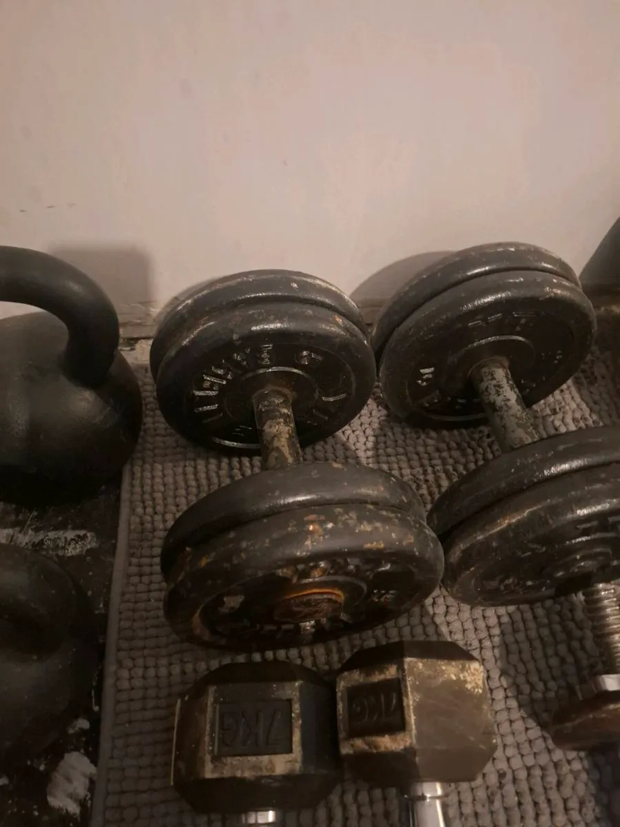 Gym - Image 2
