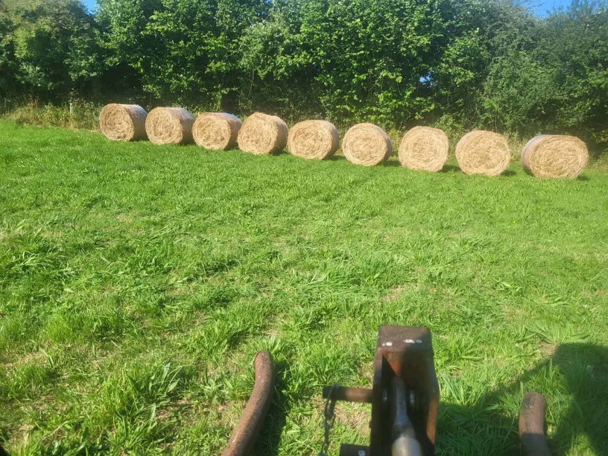 June Hay - Athlone Area - Image 2