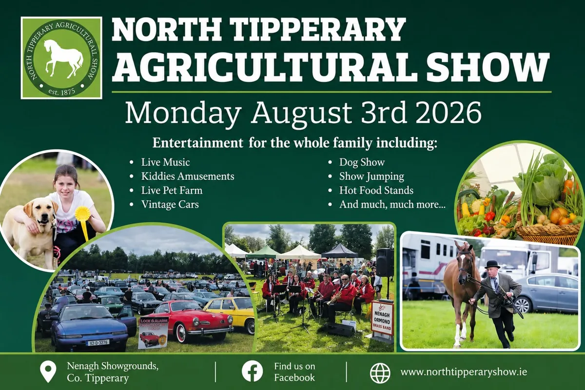 Nenagh Classic Car Club Show 2026 - Image 2