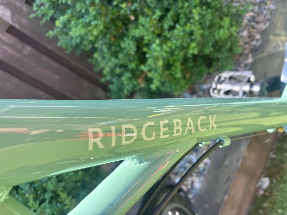 Ridgeback Avenida Ladies Bike 21 - Image 4