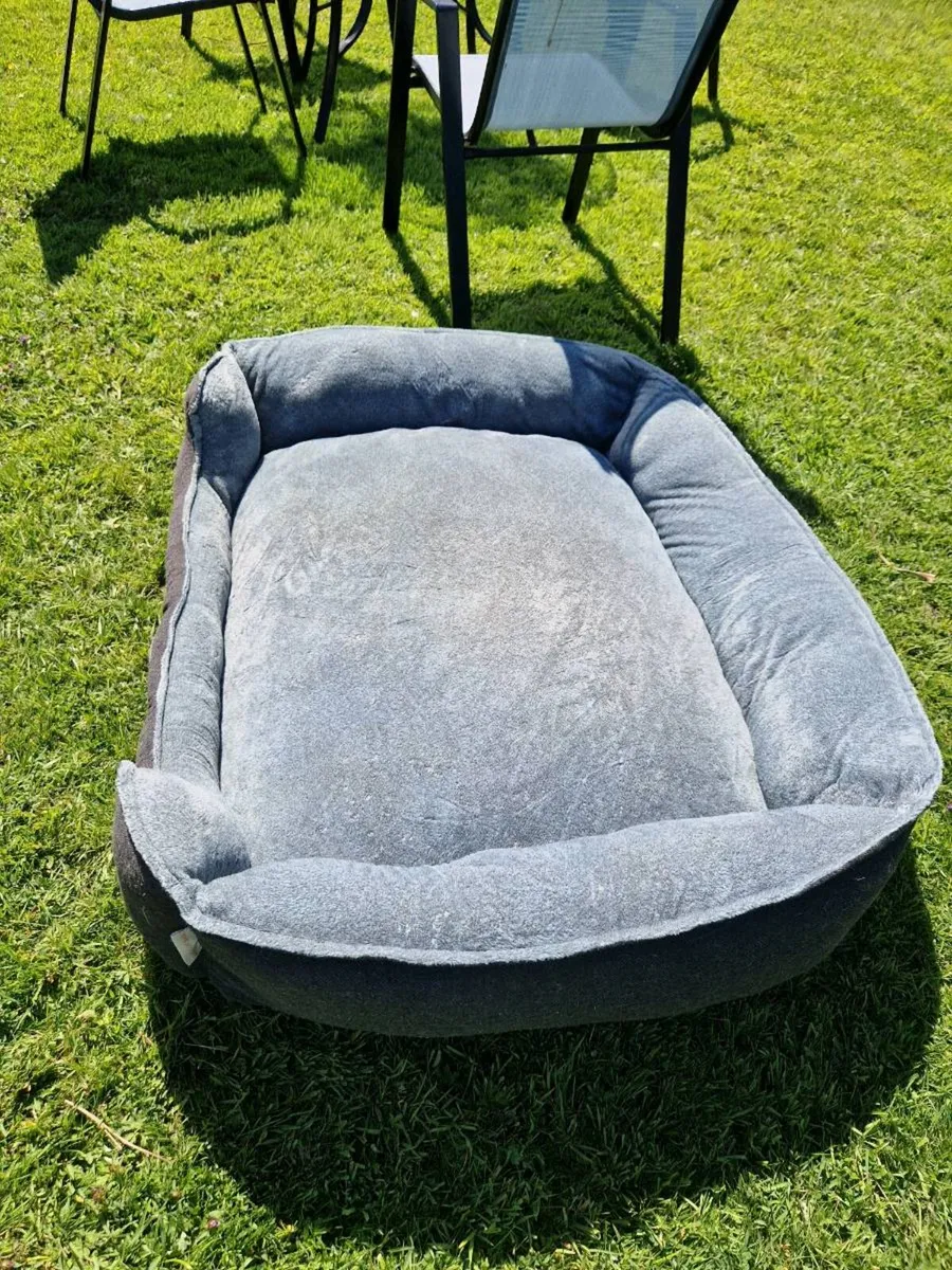 XxL pet bed - Image 1