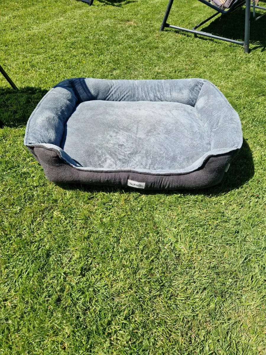 XxL pet bed - Image 2
