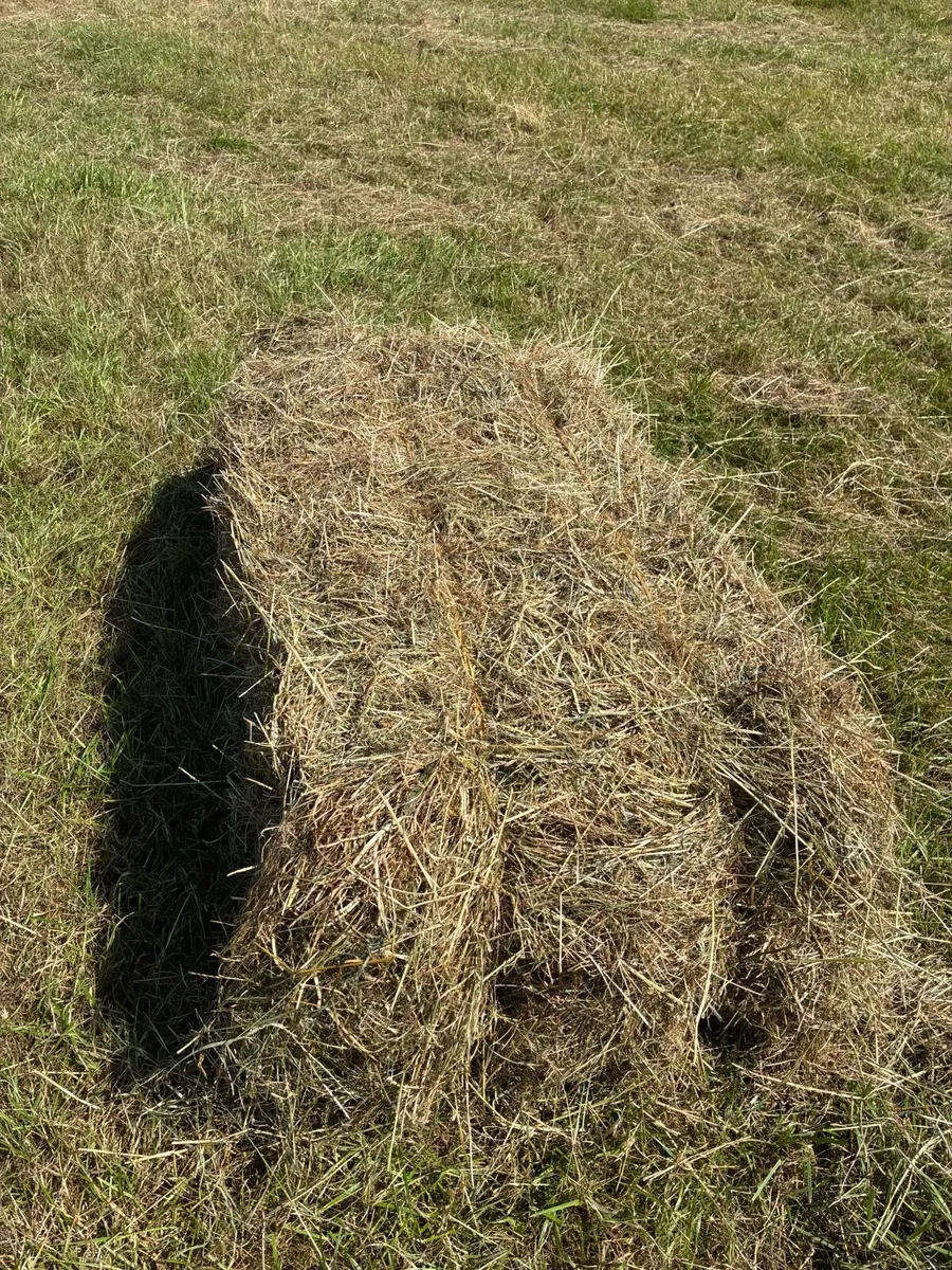 Hay Bales - Image 1
