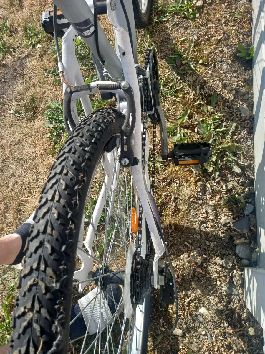 DarkAngel26 18 - speed bike - Image 3