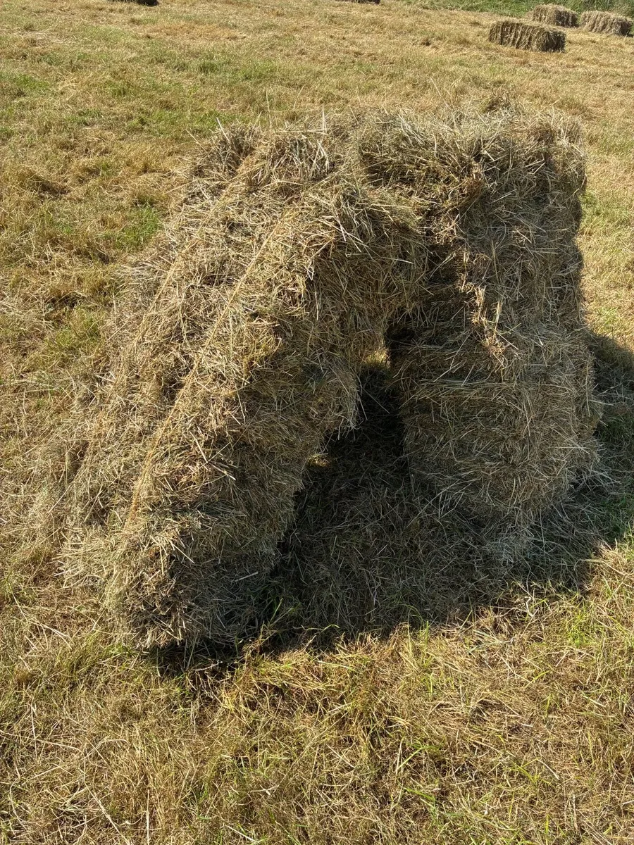 Hay Bales - Image 4