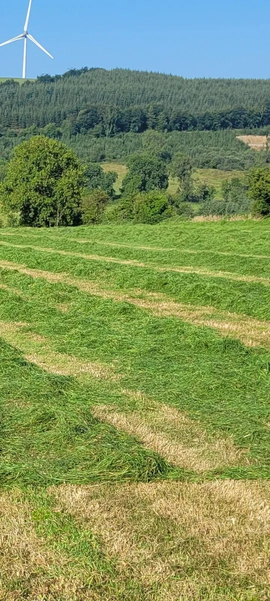 Silage bales - Image 2