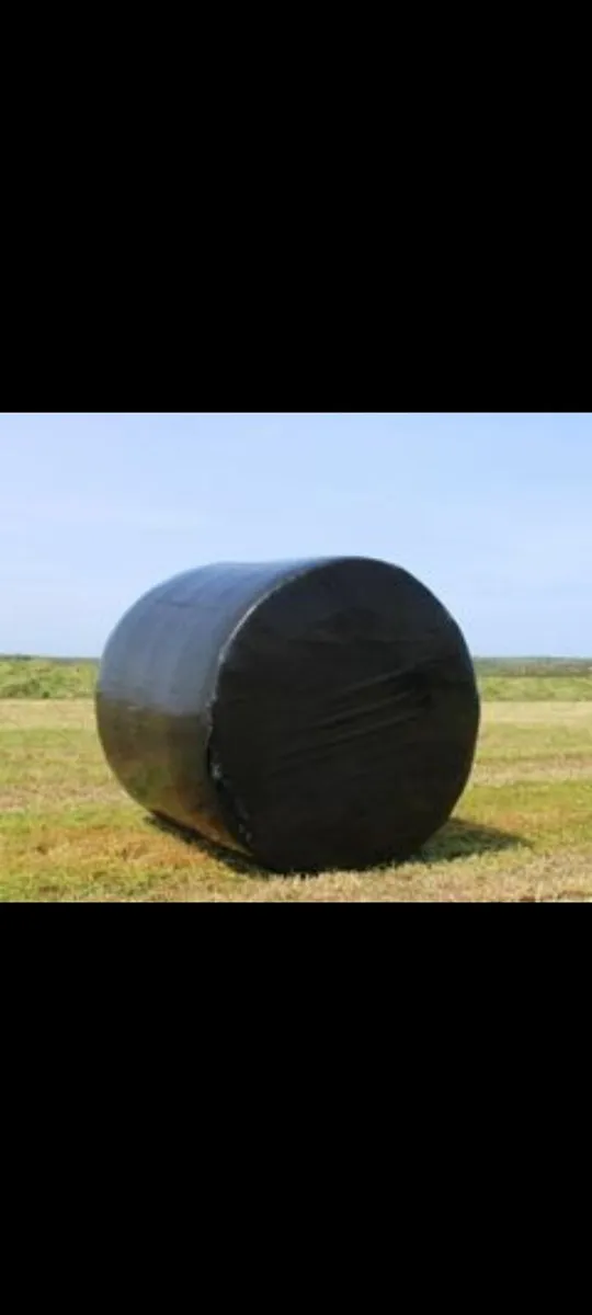 Silage bales - Image 1