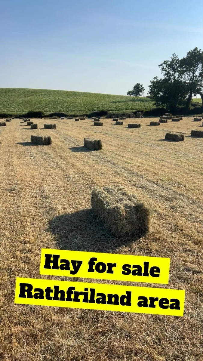 Hay for sale