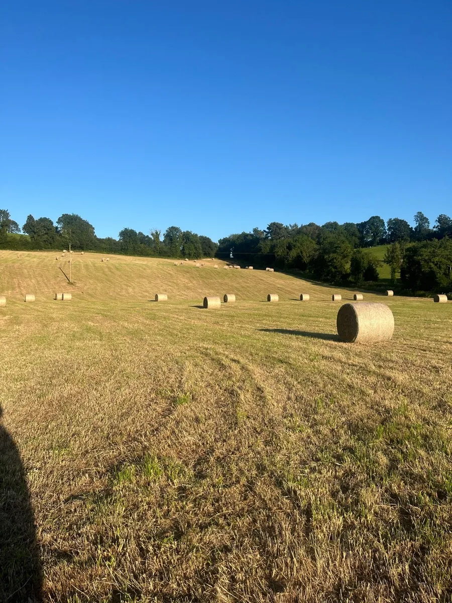 Hay Round bales for sale - Image 1